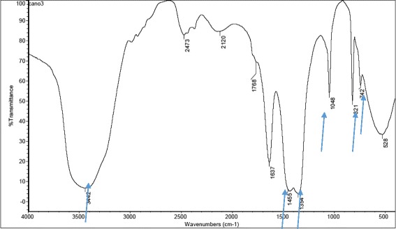 Fig. 2