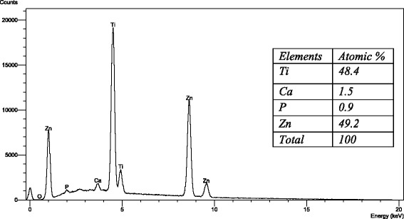 Fig. 10