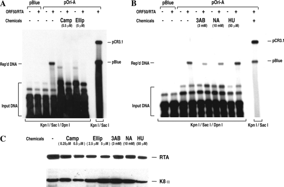 FIG. 7.