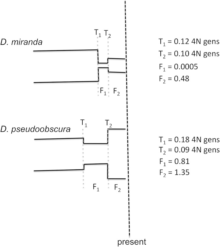 FIG. 1.—