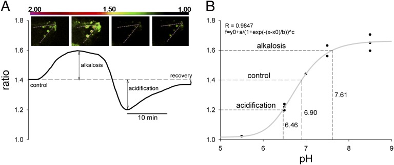 Fig. 4.