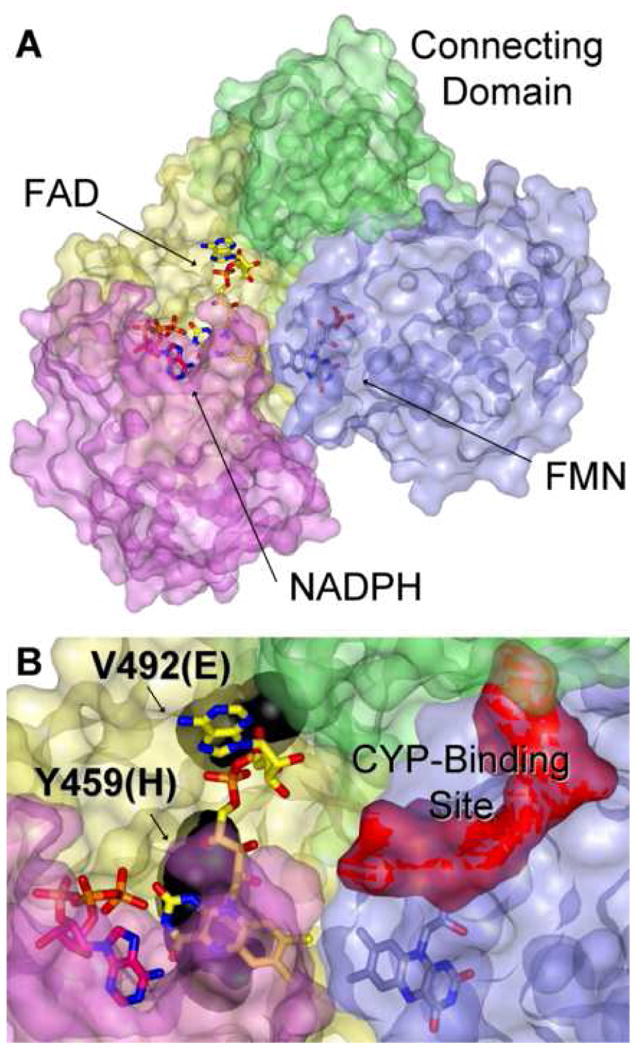 Fig. 6