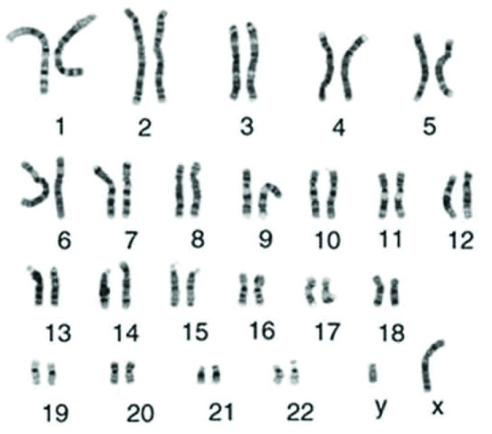 [Table/Fig-2]: