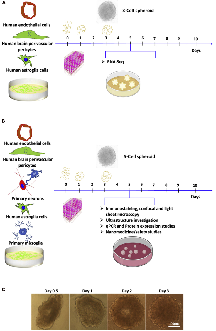 Figure 2