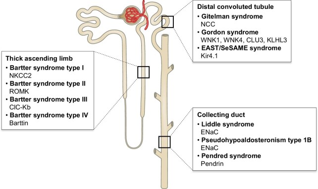 Figure 2: