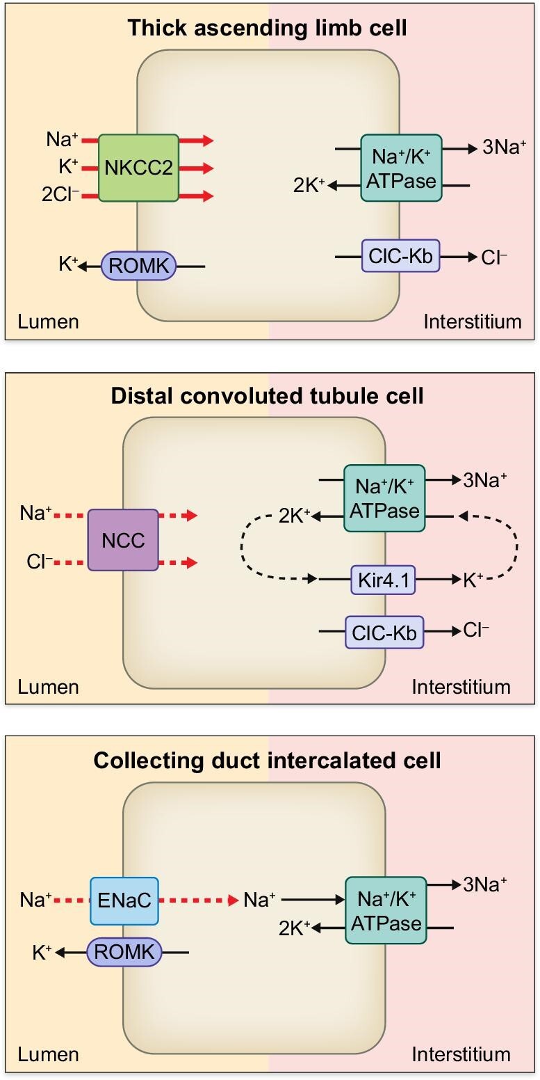 Figure 3: