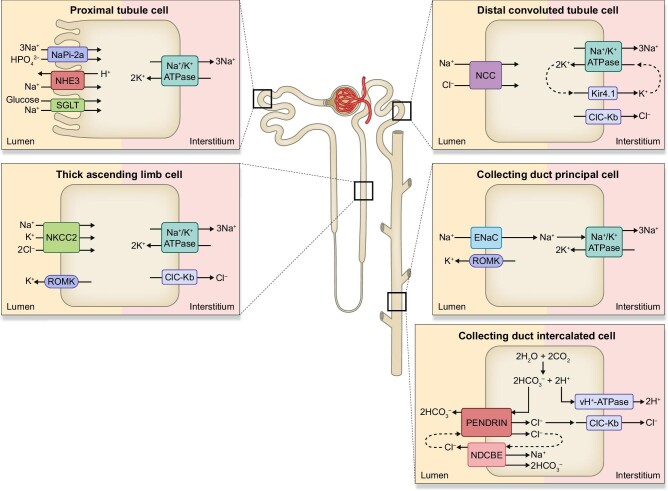 Figure 1: