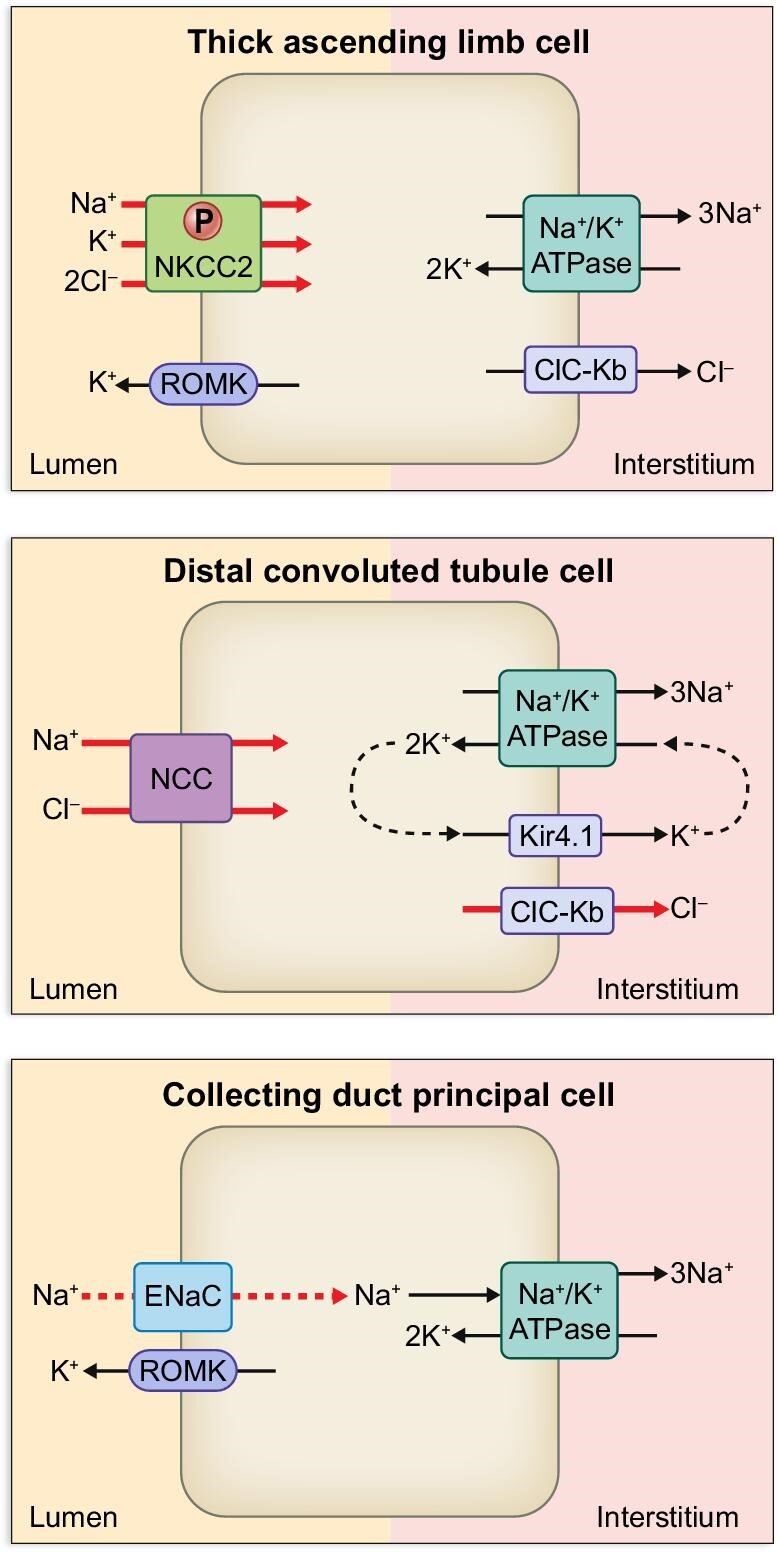 Figure 4: