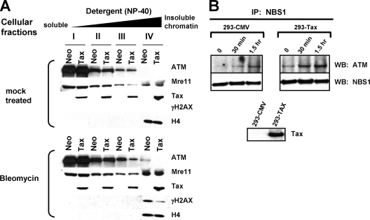 FIG. 7.