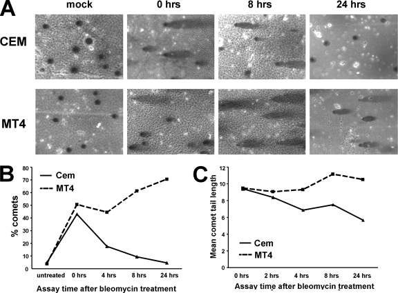 FIG. 4.