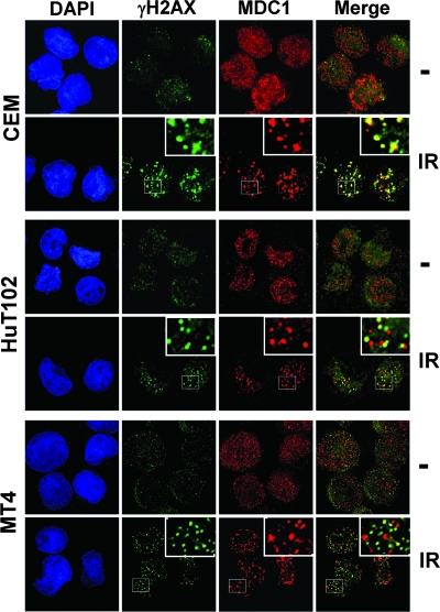 FIG. 8.