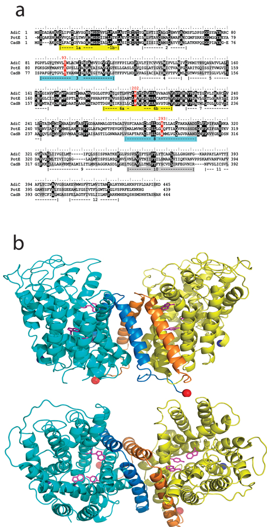 Fig 2