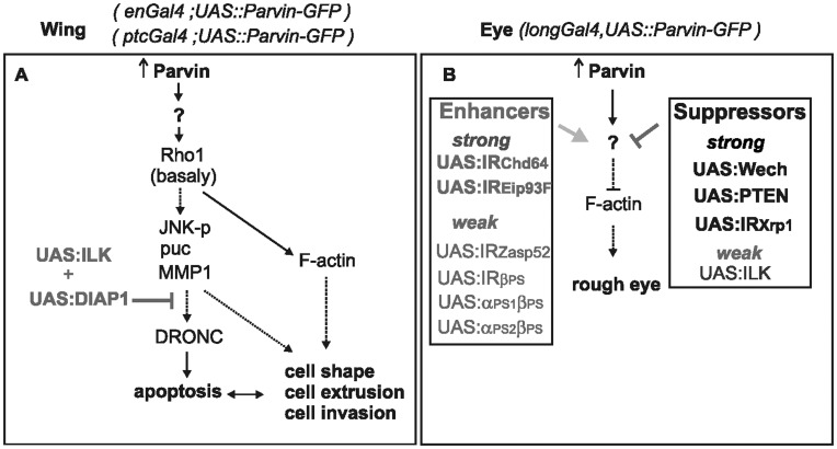 Figure 15