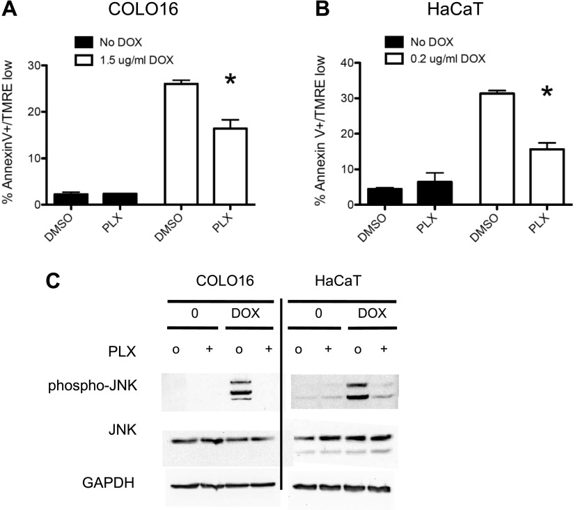 Figure 1—figure supplement 2.