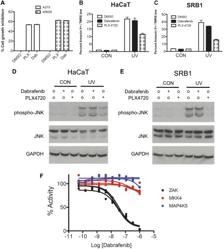 Figure 6—figure supplement 2.