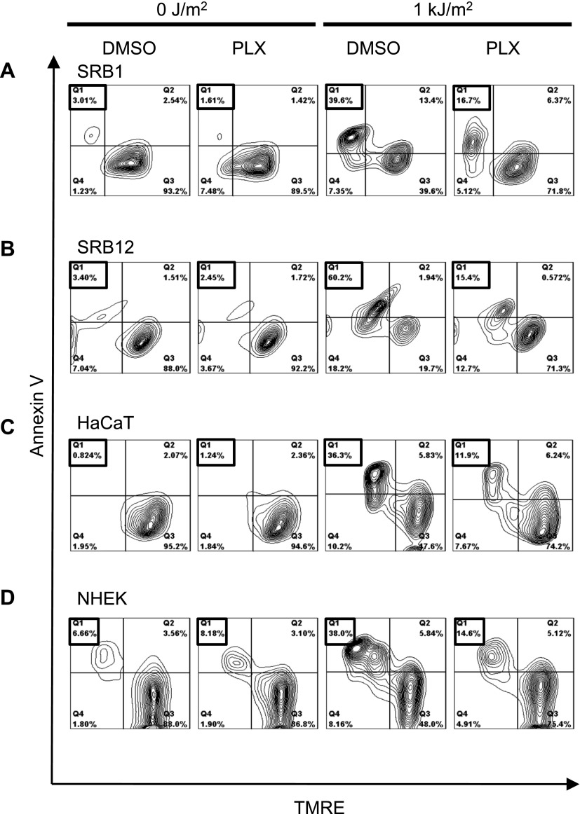 Figure 1—figure supplement 1.