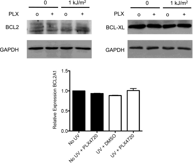 Figure 2—figure supplement 2.