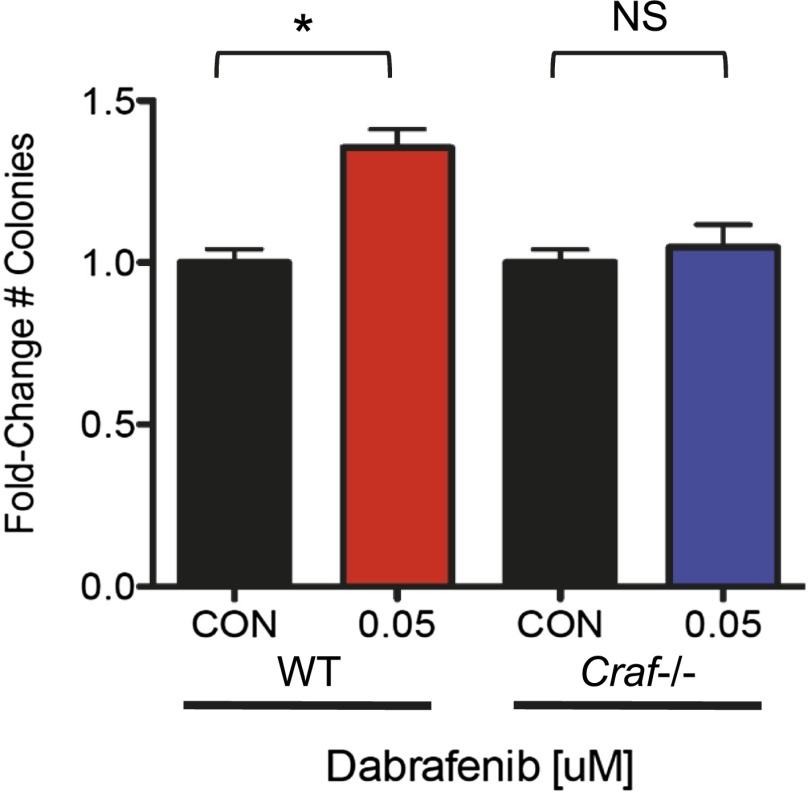 Figure 6—figure supplement 3.