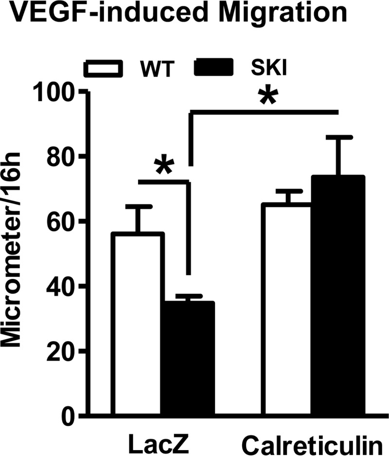 FIGURE 9.