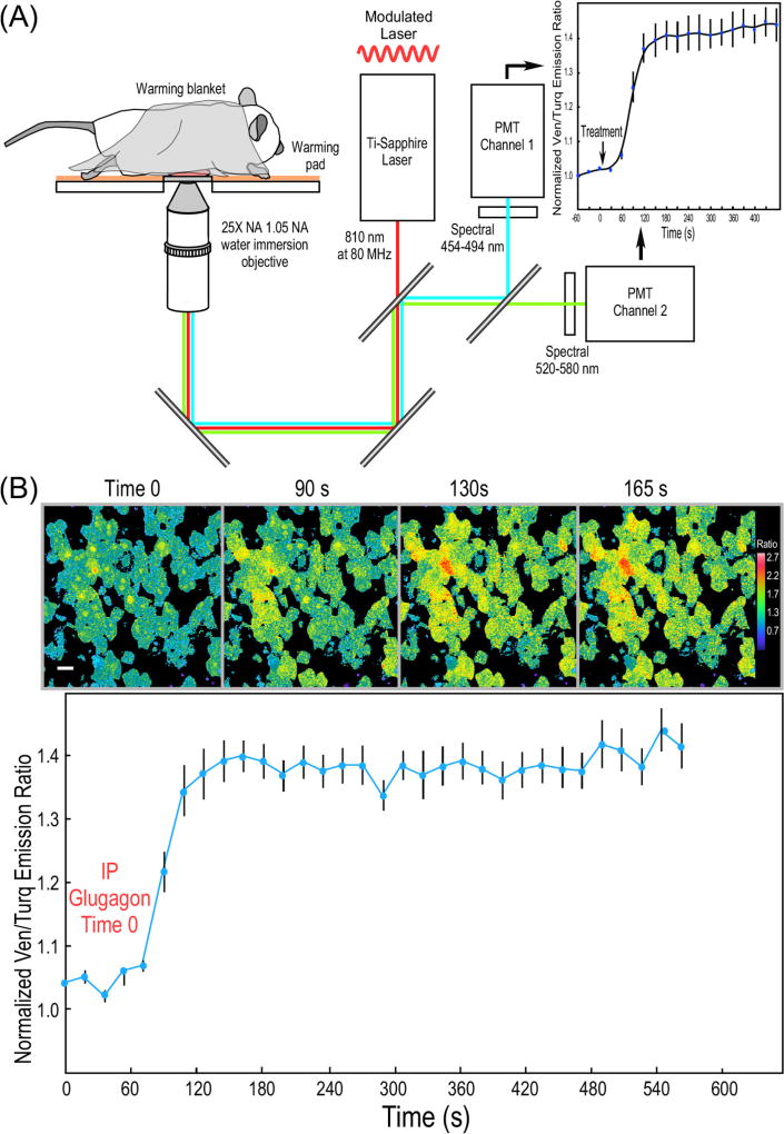 Fig. 3