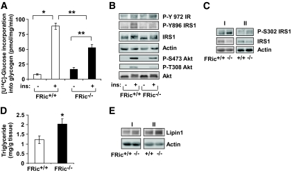 FIG. 5.