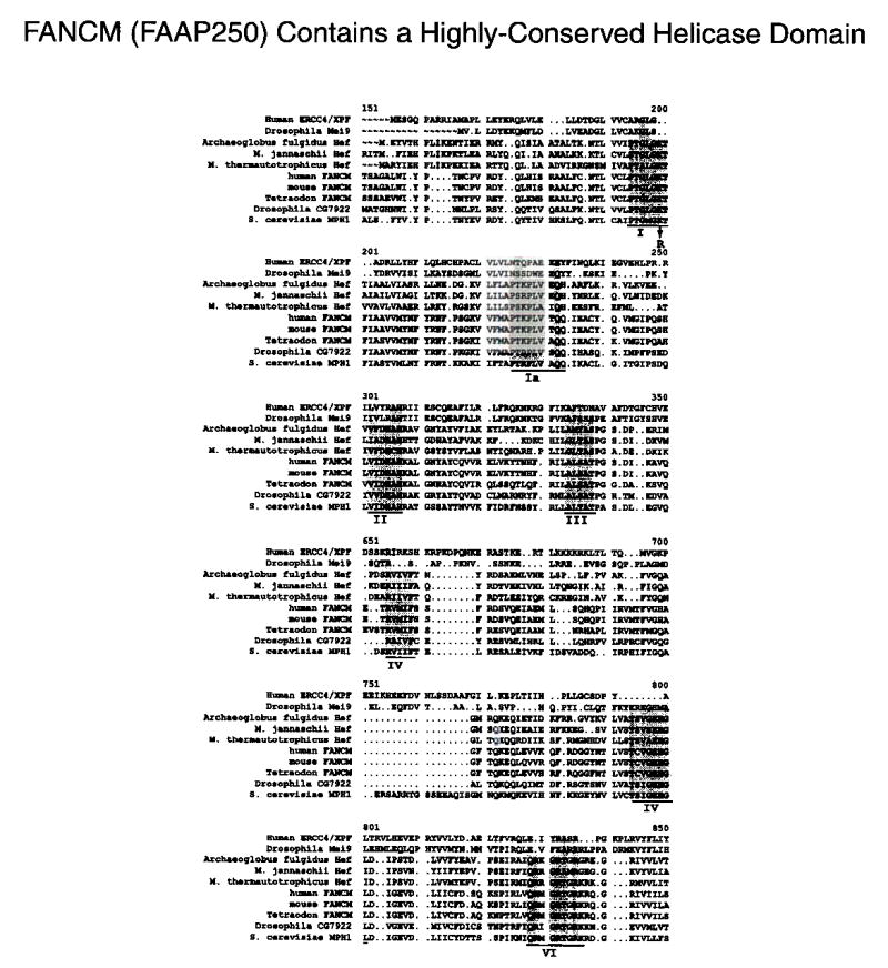 Supplementary Fig. 2