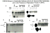 Supplementary Fig. 4