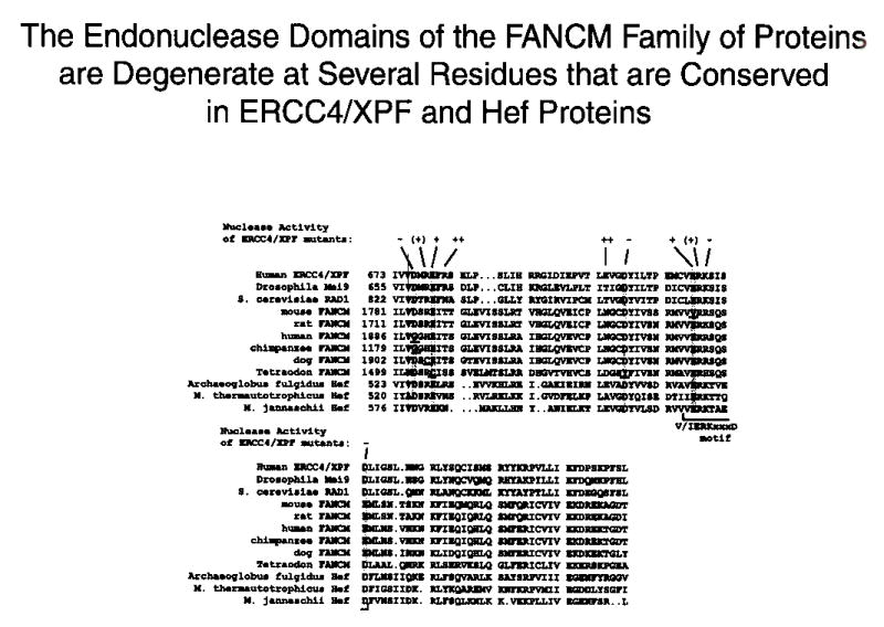 Supplementary Fig. 3