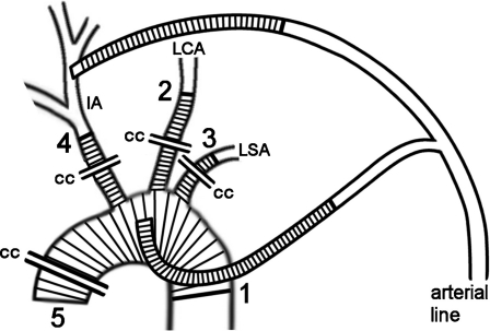 Figure 2: