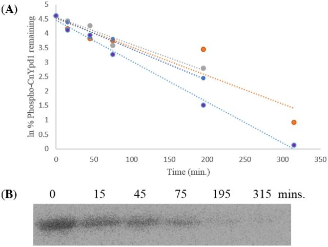 Figure 5.