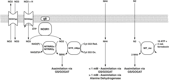 FIGURE 6