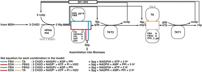 FIGURE 4