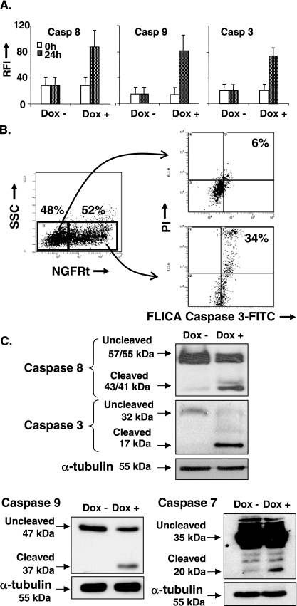 FIG. 7.