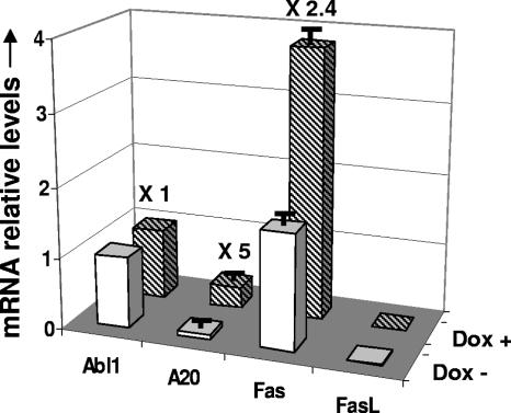 FIG. 4.