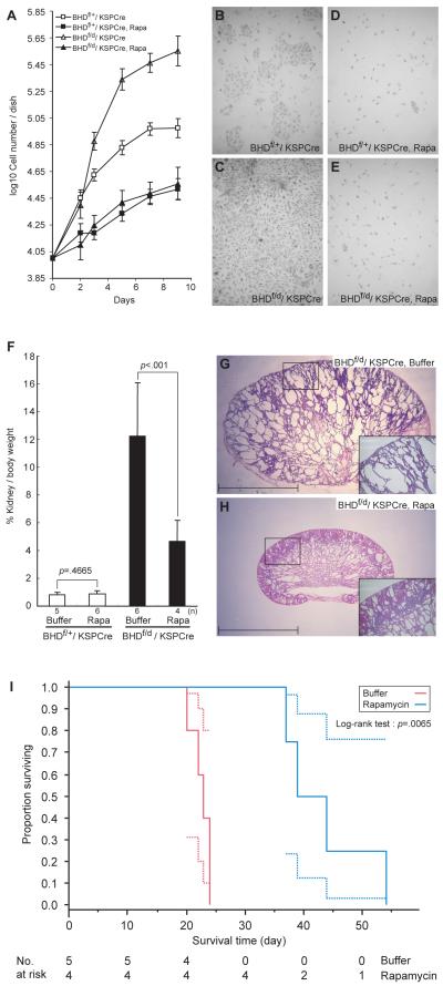 Fig.7