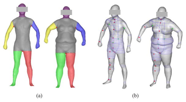 Fig. 7