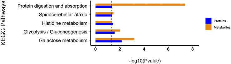 FIGURE 10