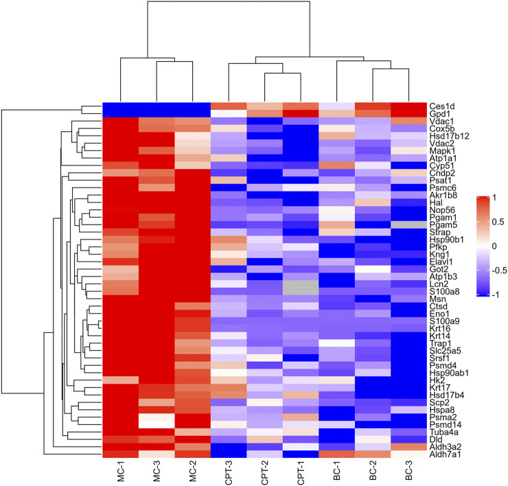 FIGURE 3