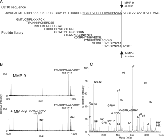 Fig. 8.