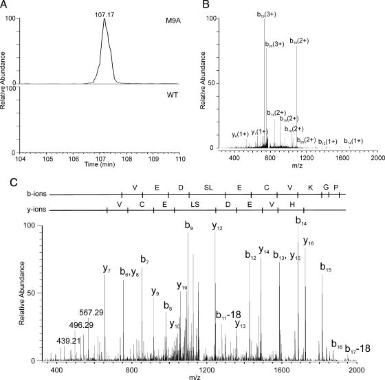 Fig. 9.