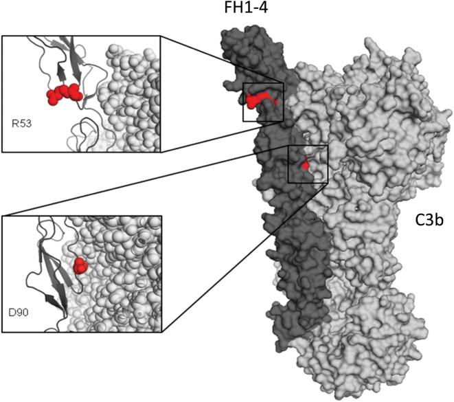 Figure 5.