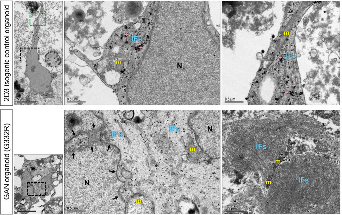 FIGURE 6: