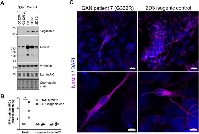 FIGURE 3: