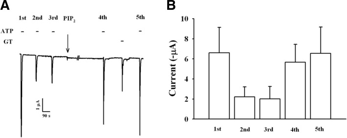 Fig. 8.