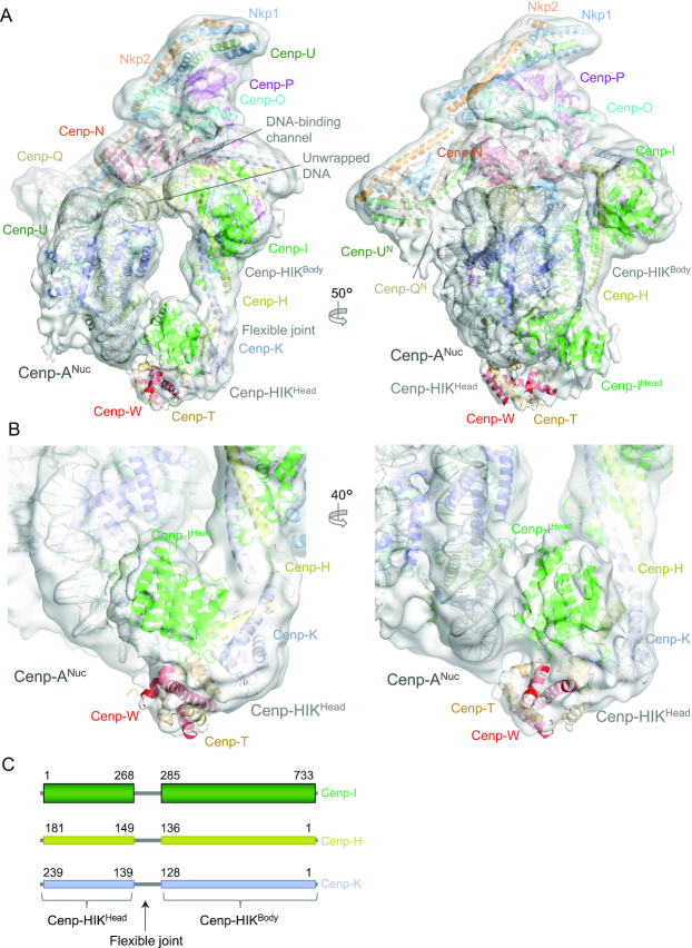 Figure 4.