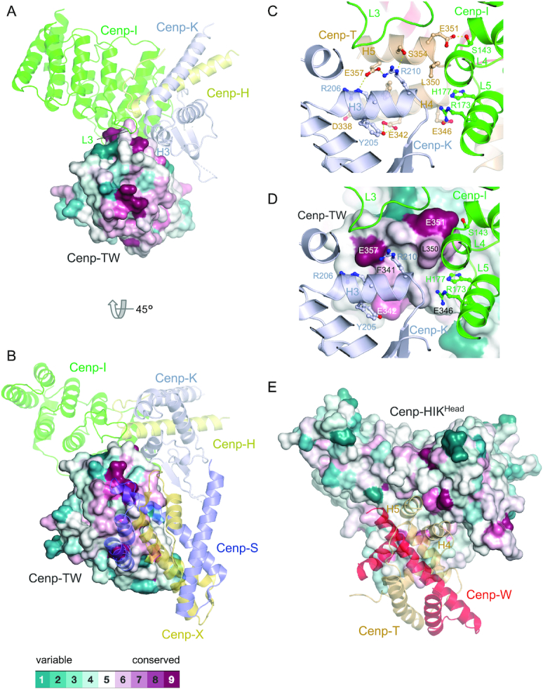 Figure 2.