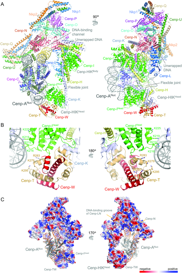 Figure 5.