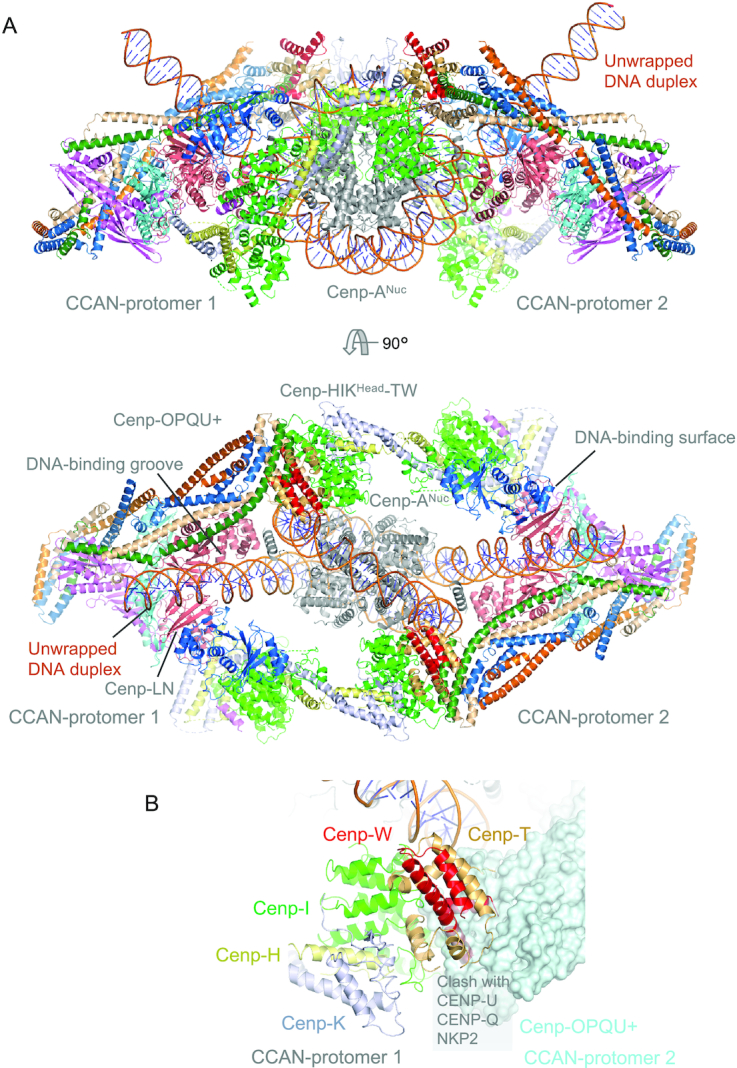 Figure 6.