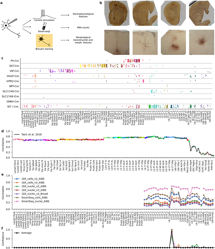 Extended Data Fig. 1 |