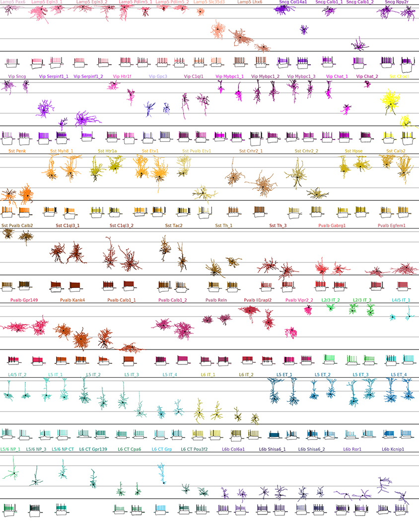 Extended Data Fig. 3 |